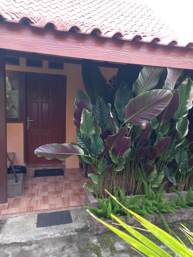 Juda Homestay Banyuwangi  Exterior photo
